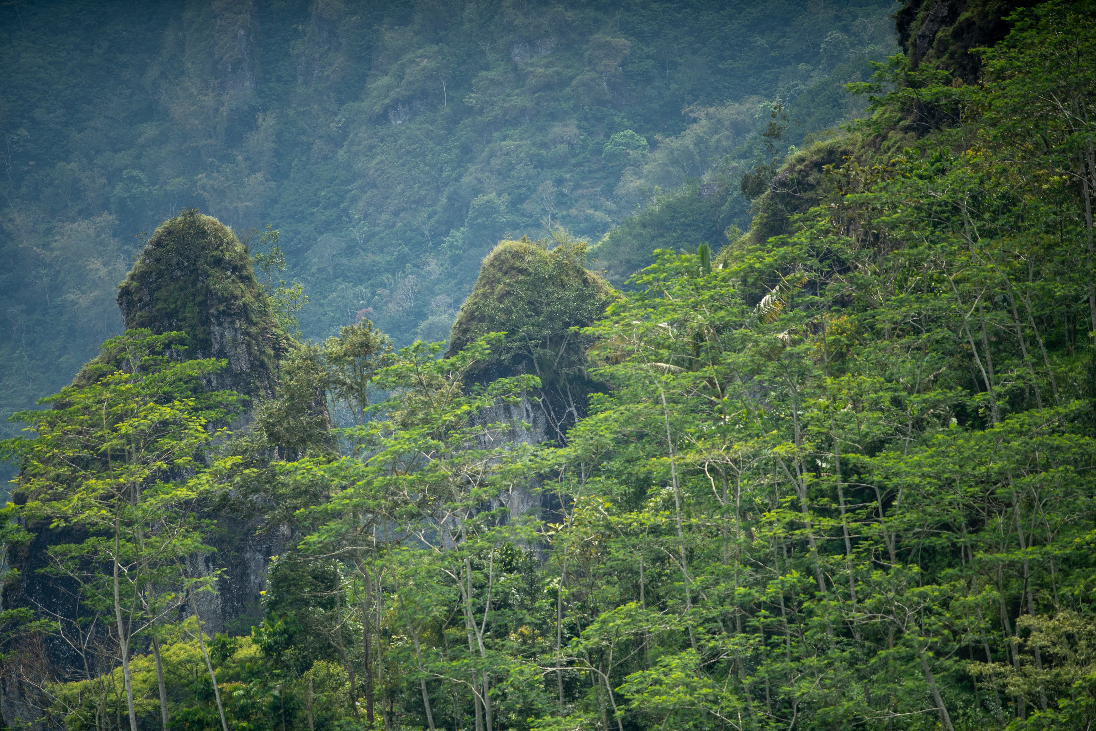 Puncak Tebing Kaldera Purba Kendil-Suroloyo