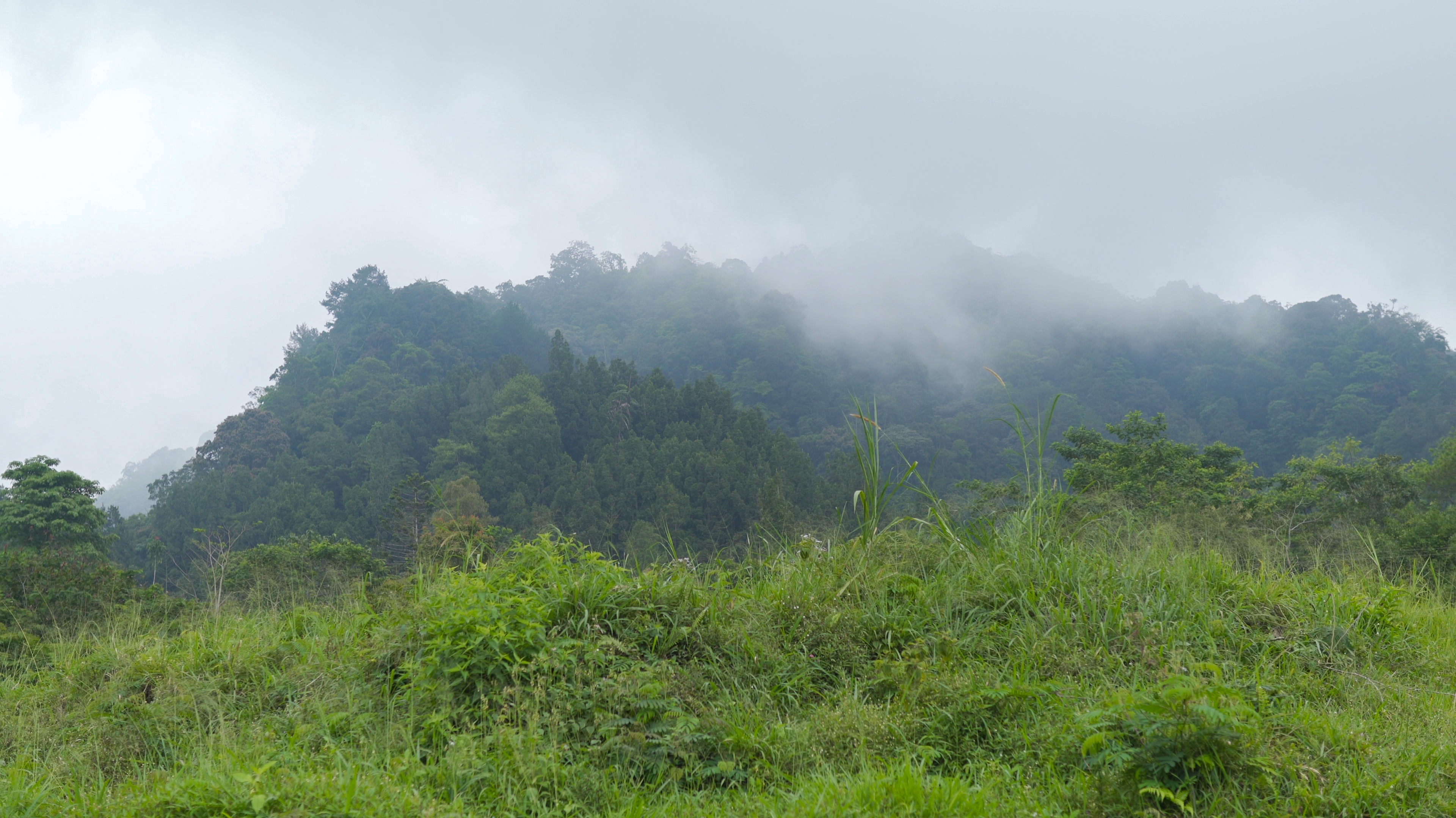 Kompleks Batuan Merapi Tua Turgo-Plawangan Pakem image