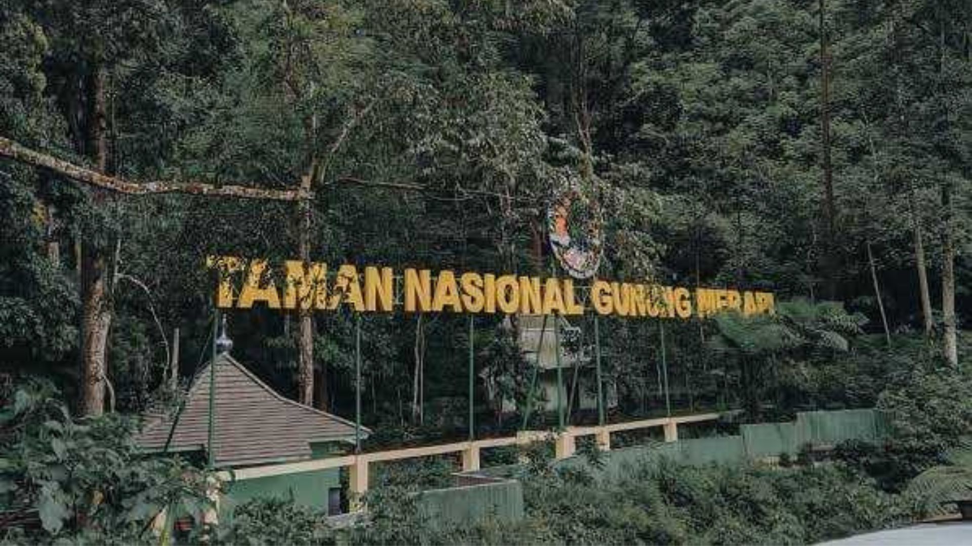 Taman Nasional Gunung Merapi (TNGM) image