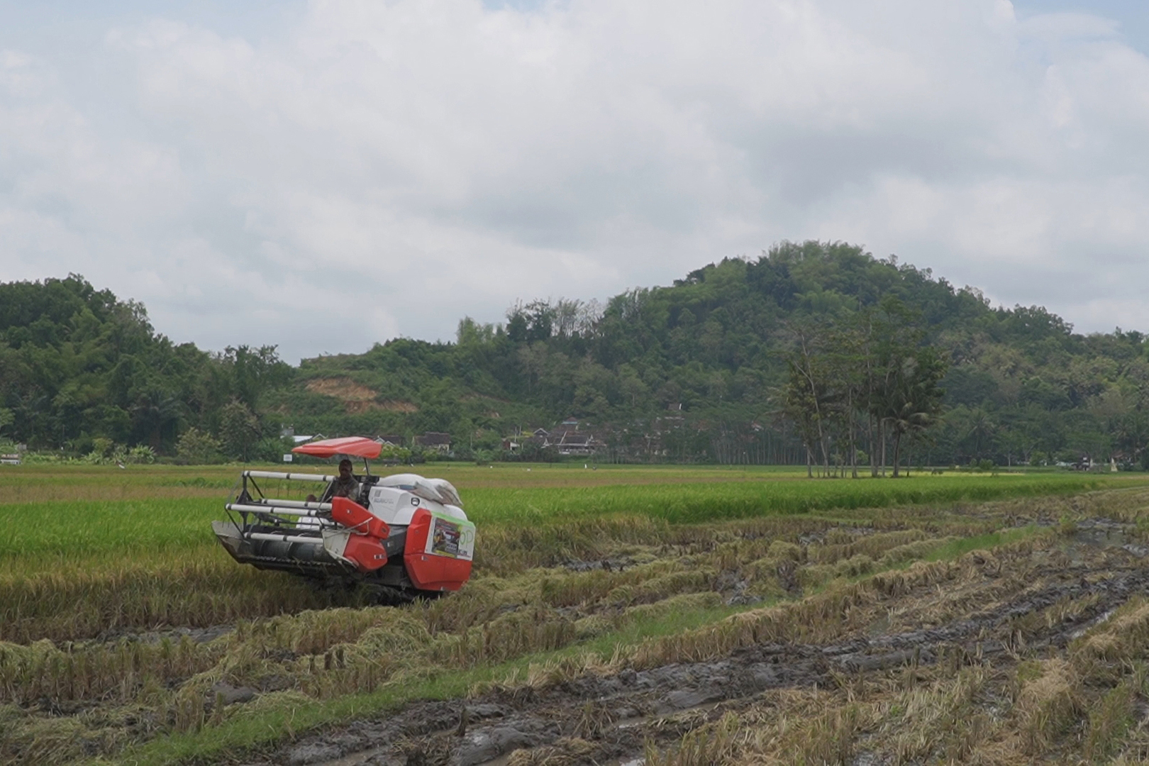 Kompleks Perbukitan Intrusi Godean image